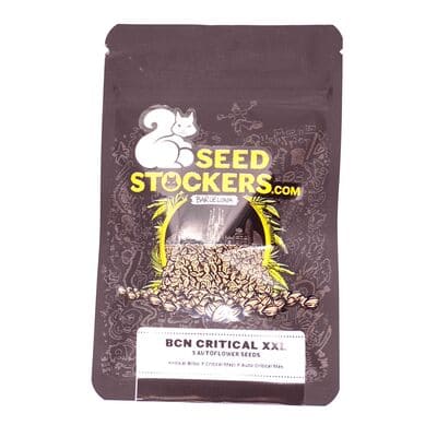 BCN Critical XXL Autoflower > Seed Stockers | Autoflowering Hanfsamen  |  Hybrid
